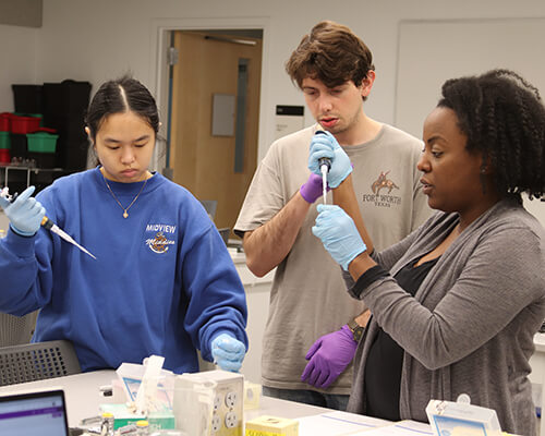 Students work with faculty in a lab.