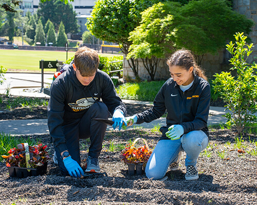 Two students plant flowers on campus.